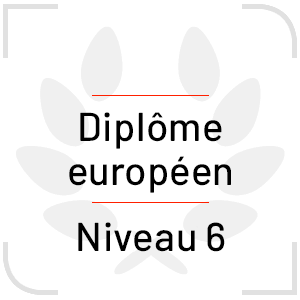 Diplôme européen de niveau 6