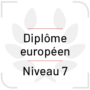 Diplôme européen de niveau 7